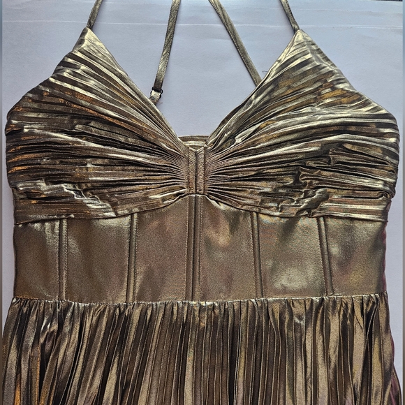 NWT Banana Republic Raggiera Pleated Gold Metallic Maxi Dress Corset Bodice - Picture 13 of 16